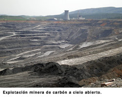 Carbón
